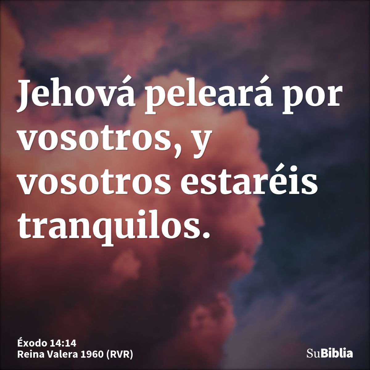  xodo 14 14 Biblia
