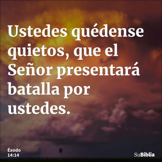 Ustedes quédense quietos, que el Señor presentará batalla por ustedes. --- Éxodo 14:14