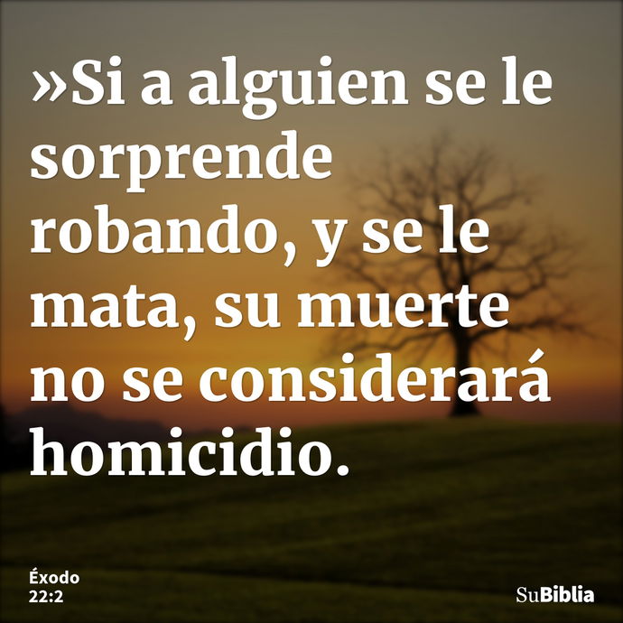 »Si a alguien se le sorprende robando, y se le mata, su muerte no se considerará homicidio. --- Éxodo 22:2