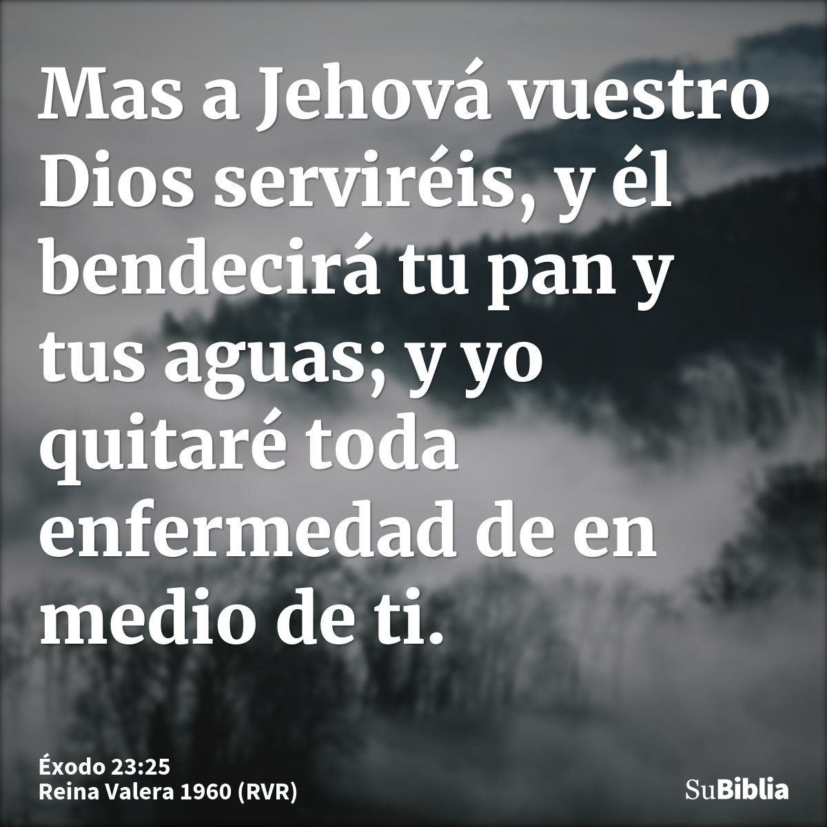 Mas a Jehová vuestro Dios serviréis, y él bendecirá tu pan y tus aguas; y yo quitaré toda enfermedad de en medio de ti.