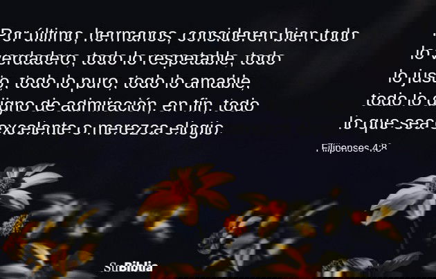 Por último, hermanos, consideren bien todo lo verdadero, todo lo respetable, todo lo justo, todo lo puro, todo lo amable, todo lo digno de admiración, en fin, todo lo que sea excelente o merezca elogio. (Filipenses 4:8)
