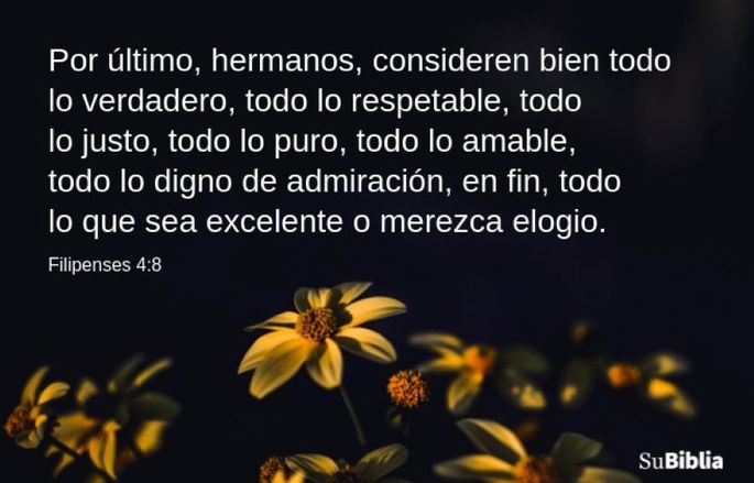 Por último, hermanos, consideren bien todo lo verdadero, todo lo respetable, todo lo justo, todo lo puro, todo lo amable, todo lo digno de admiración, en fin, todo lo que sea excelente o merezca elogio. (Filipenses 4:8)