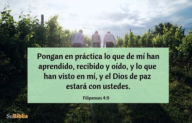 Pongan en práctica lo que de mí han aprendido, recibido y oído, y lo que han visto en mí, y el Dios de paz estará con ustedes. (Filipenses 4:9)