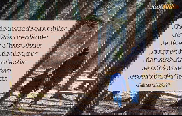 Todos ustedes son hijos de Dios mediante la fe en Cristo Jesús, porque todos los que han sido bautizados en Cristo se han revestido de Cristo. (Gálatas 3:26-27)