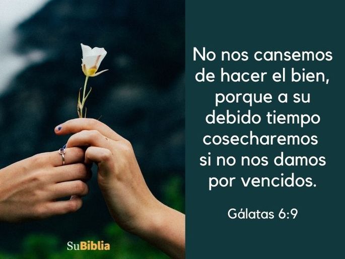 Vers Culos De Nimo Para Matrimonios En Crisis Biblia