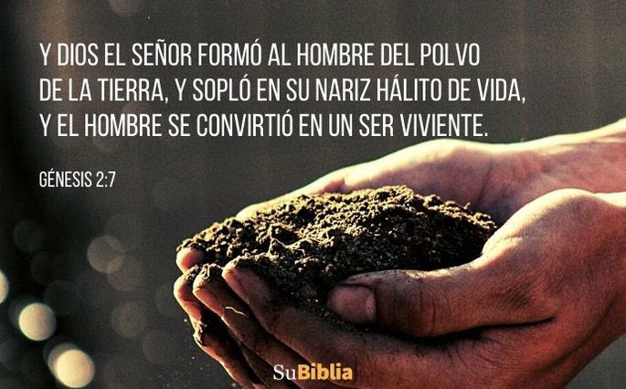 Y Dios el Señor formó al hombre del polvo de la tierra, y sopló en su nariz hálito de vida, y el hombre se convirtió en un ser viviente. (Génesis 2:7)