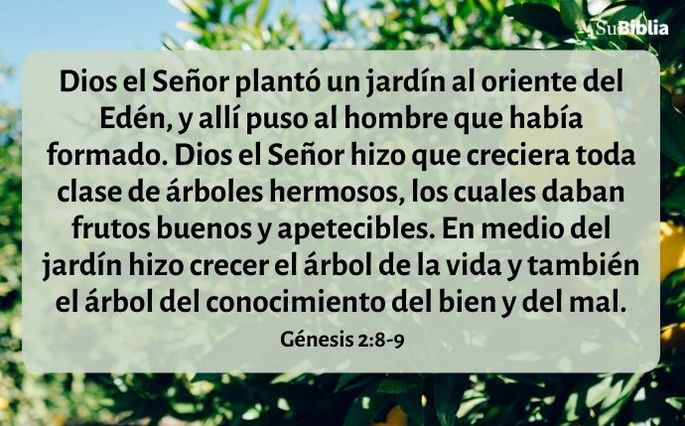 Dios el Señor plantó un jardín al oriente del Edén y allí puso al hombre que había formado. 9 Dios el Señor hizo que creciera toda clase de árboles atractivos a la vista y buenos para comer. En medio del jardín hizo crecer el árbol de la vida y también el árbol del conocimiento del bien y del mal. (Génesis 2:8-9)