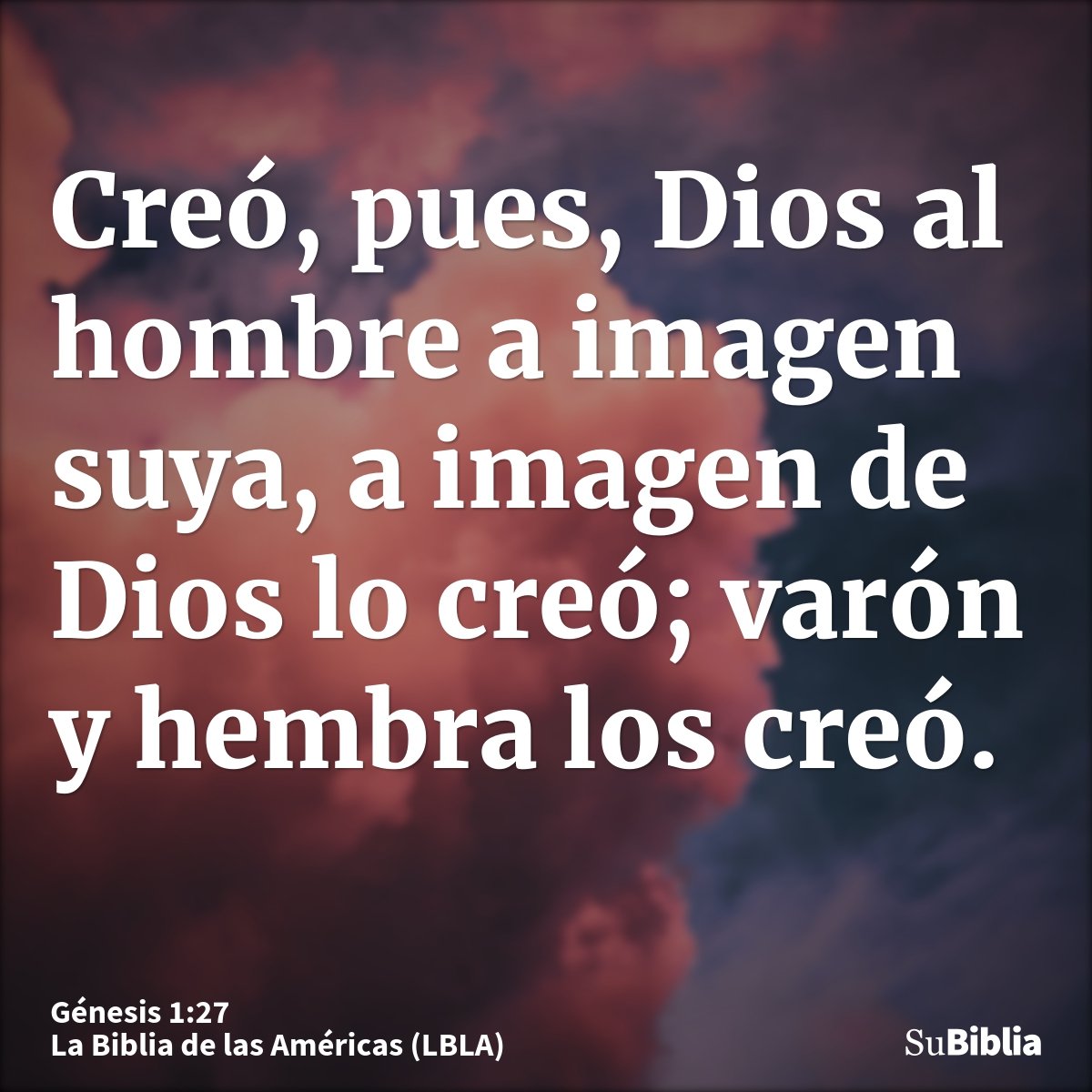 Creó, pues, Dios al hombre a imagen suya, a imagen de Dios lo creó; varón y hembra los creó.