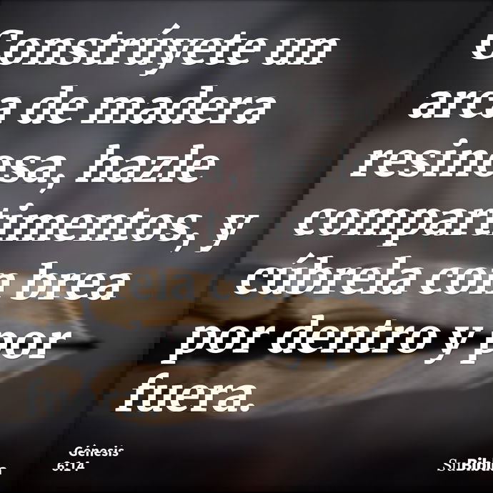 Constrúyete un arca de madera resinosa, hazle compartimentos, y cúbrela con brea por dentro y por fuera. --- Génesis 6:14