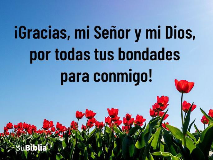 ¡Gracias, mi Señor y mi Dios, por todas tus bondades para conmigo!