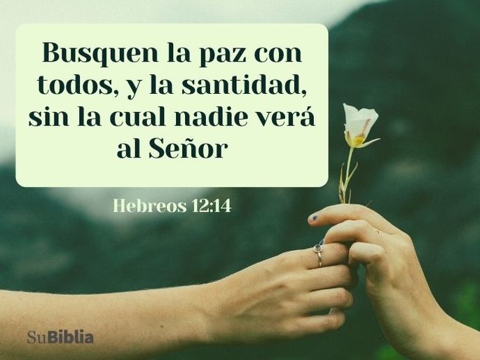 Busquen la paz con todos, y la santidad, sin la cual nadie verá al Señor. (Hebreos 12:14)