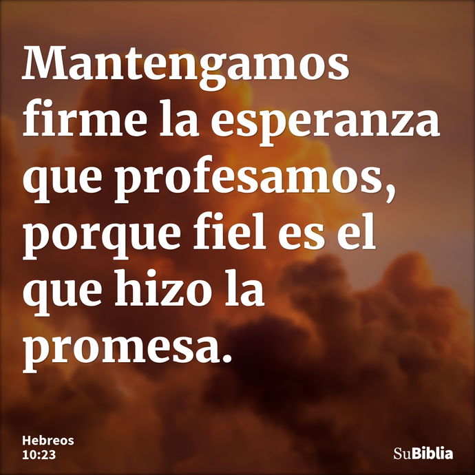 Mantengamos firme la esperanza que profesamos, porque fiel es el que hizo la promesa. --- Hebreos 10:23