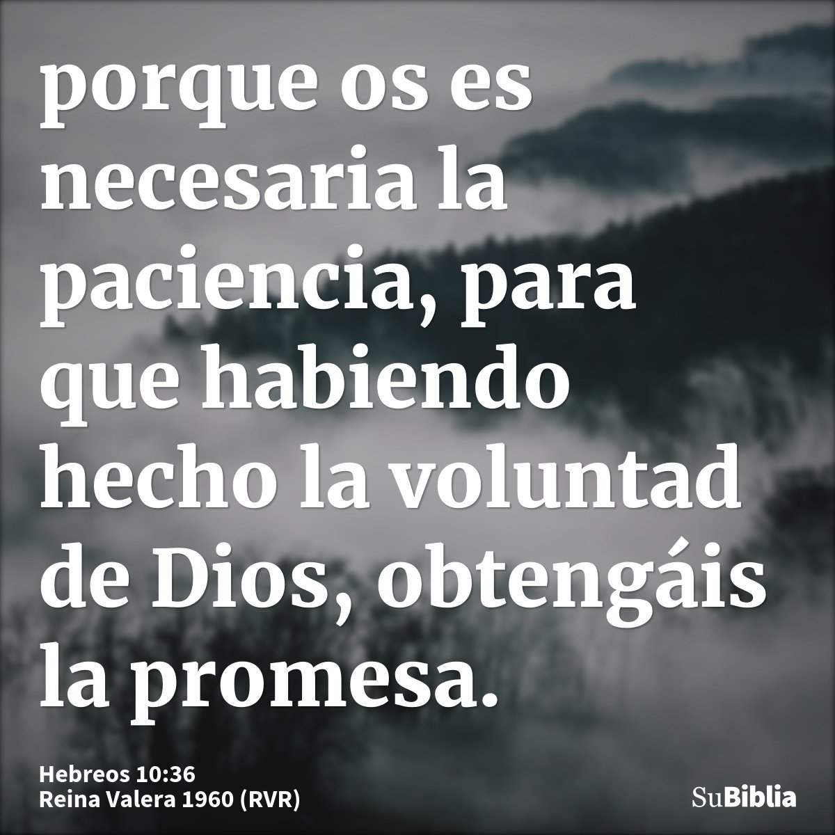 porque os es necesaria la paciencia, para que habiendo hecho la voluntad de Dios, obtengáis la promesa.