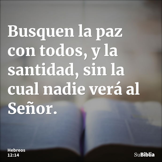 Busquen la paz con todos, y la santidad, sin la cual nadie verá al Señor. --- Hebreos 12:14