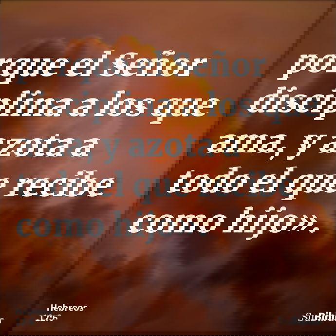 porque el Señor disciplina a los que ama, y azota a todo el que recibe como hijo». --- Hebreos 12:6