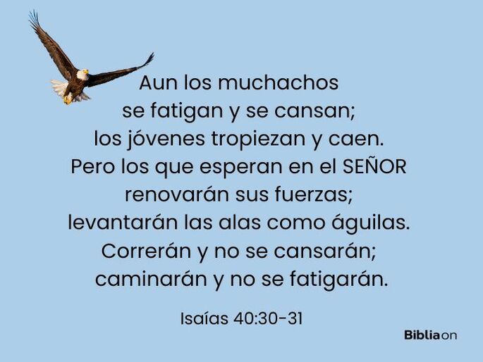 Aun los muchachos se fatigan y se cansan; los jóvenes tropiezan y caen.  Pero los que esperan en el SEÑOR renovarán sus fuerzas; levantarán las alas como águilas. Correrán y no se cansarán; caminarán y no se fatigarán. (Isaías 40:30-31)