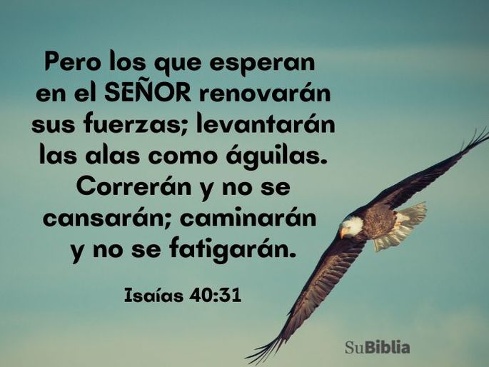 Pero los que esperan en el SEÑOR renovarán sus fuerzas; levantarán las alas como águilas. Correrán y no se cansarán; caminarán y no se fatigarán. (Isaías 40:31)