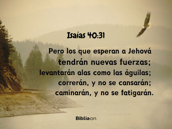Pero los que esperan a Jehová tendrán nuevas fuerzas; levantarán alas como las águilas; correrán, y no se cansarán; caminarán, y no se fatigarán. (Isaías 40:31)