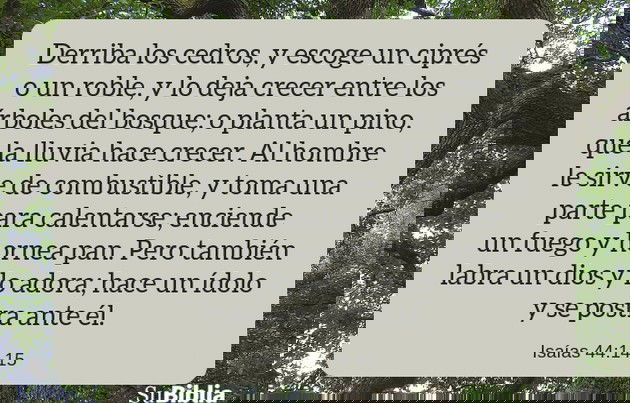Derriba los cedros, y escoge un ciprés o un roble, y lo deja crecer entre los árboles del bosque; o planta un pino, que la lluvia hace crecer. Al hombre le sirve de combustible, y toma una parte para calentarse; enciende un fuego y hornea pan. Pero también labra un dios y lo adora; hace un ídolo y se postra ante él. -Isaías 44:14-15