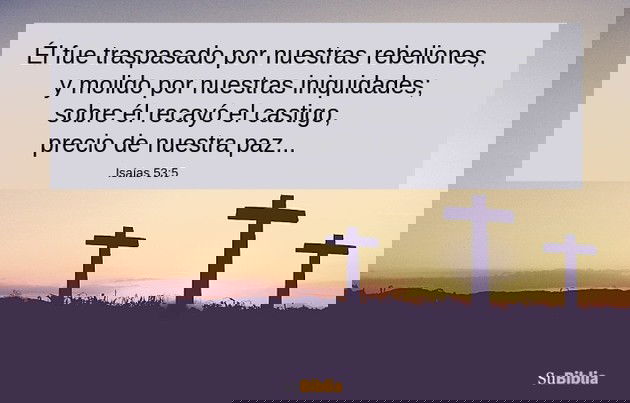 Él fue traspasado por nuestras rebeliones, y molido por nuestras iniquidades; sobre él recayó el castigo, precio de nuestra paz, y gracias a sus heridas fuimos sanados. (Isaías 53:5)