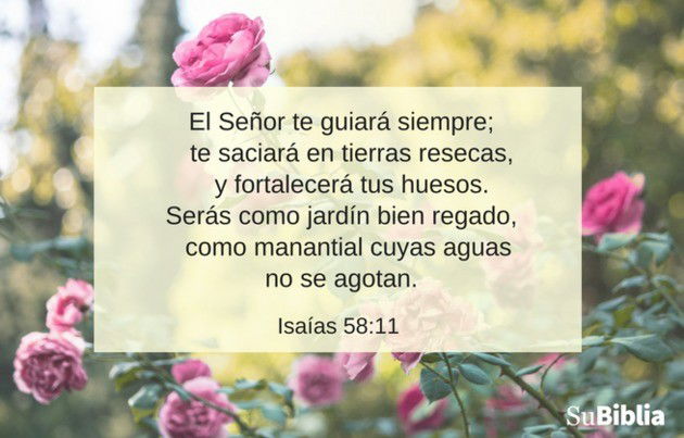 Lo Que La Biblia Dice Sobre El Ayuno Que Agrada A Dios - Biblia