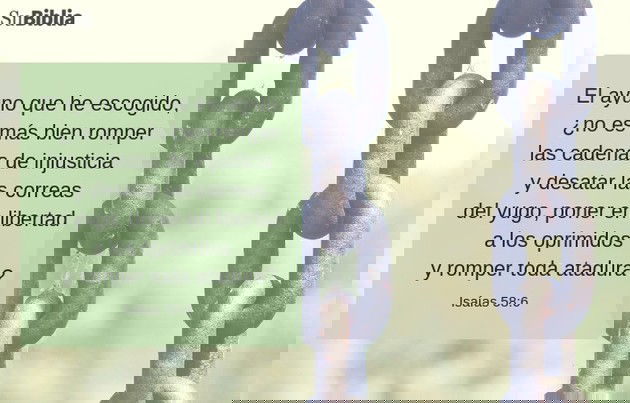 El ayuno que he escogido, ¿no es más bien romper las cadenas de injusticia y desatar las correas del yugo, poner en libertad a los oprimidos y romper toda atadura? (Isaías 58:6)