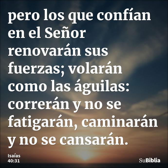 pero los que confían en el Señor renovarán sus fuerzas; volarán como las águilas: correrán y no se fatigarán, caminarán y no se cansarán. --- Isaías 40:31