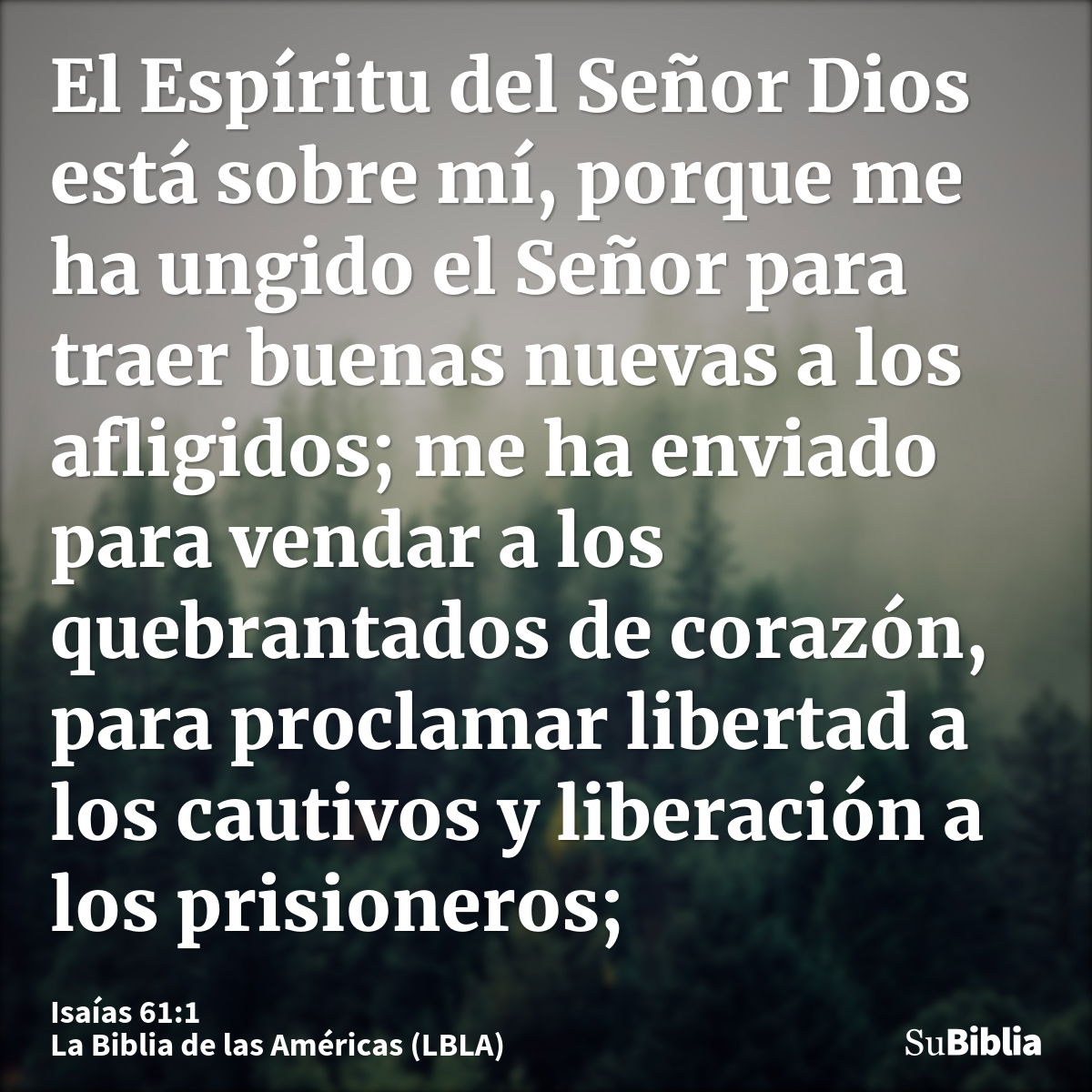 Isa as 61 1 Biblia