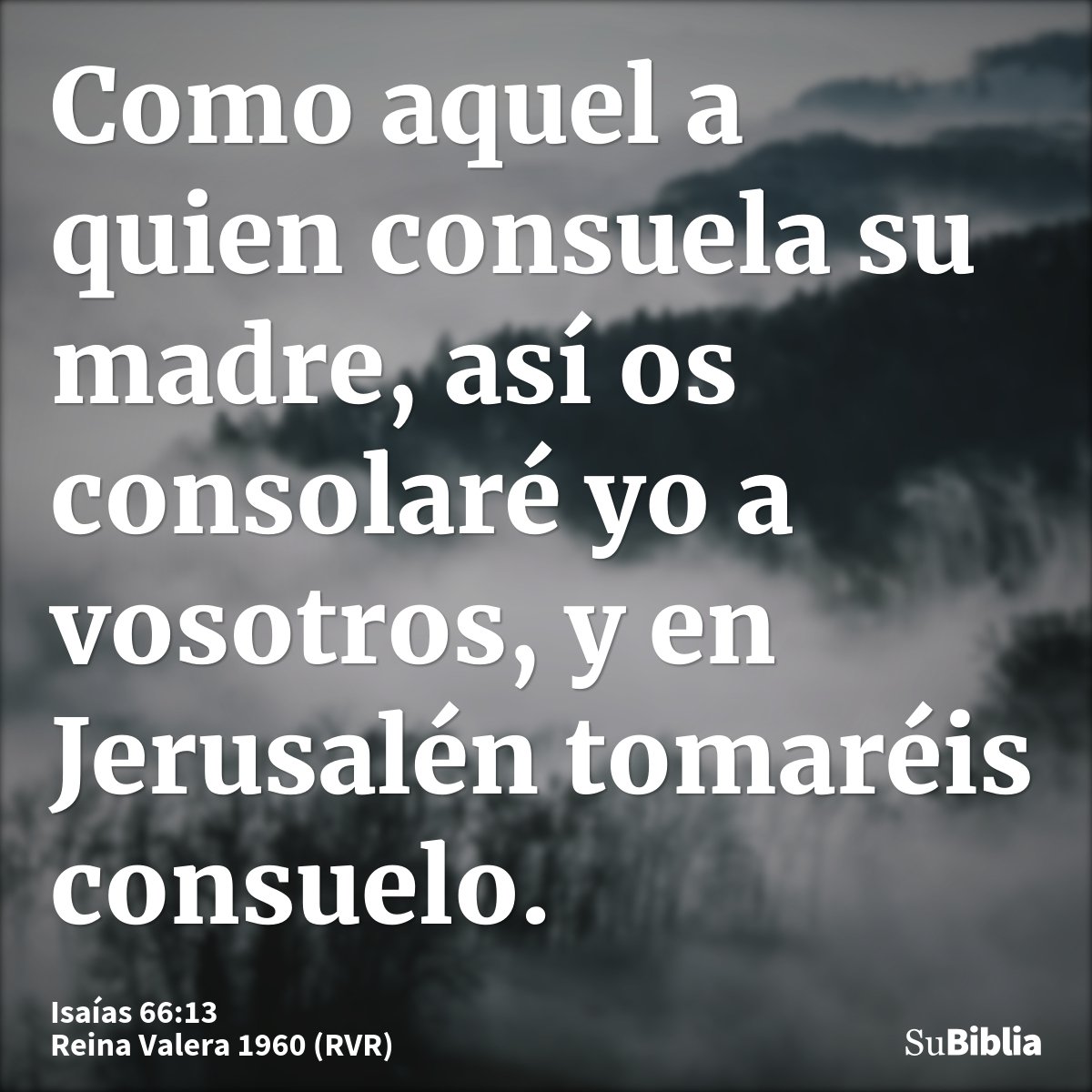 Como aquel a quien consuela su madre, así os consolaré yo a vosotros, y en Jerusalén tomaréis consuelo.