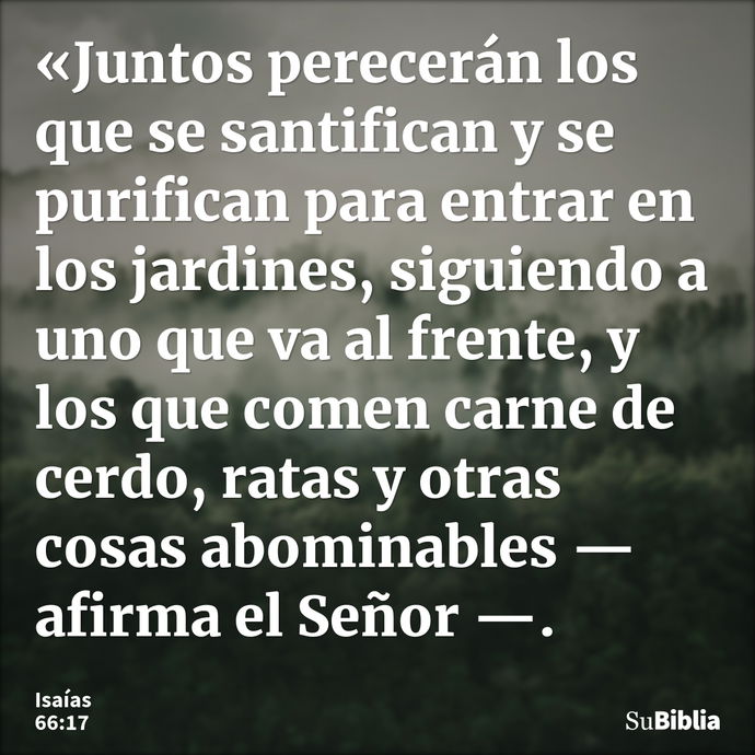 «Juntos perecerán los que se santifican y se purifican para entrar en los jardines, siguiendo a uno que va al frente, y los que comen carne de cerdo, ratas y ot... --- Isaías 66:17