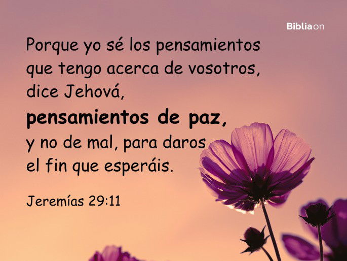 Porque yo sé los pensamientos que tengo acerca de vosotros, dice Jehová, pensamientos de paz, y no de mal, para daros el fin que esperáis. (Jeremías 29:11)