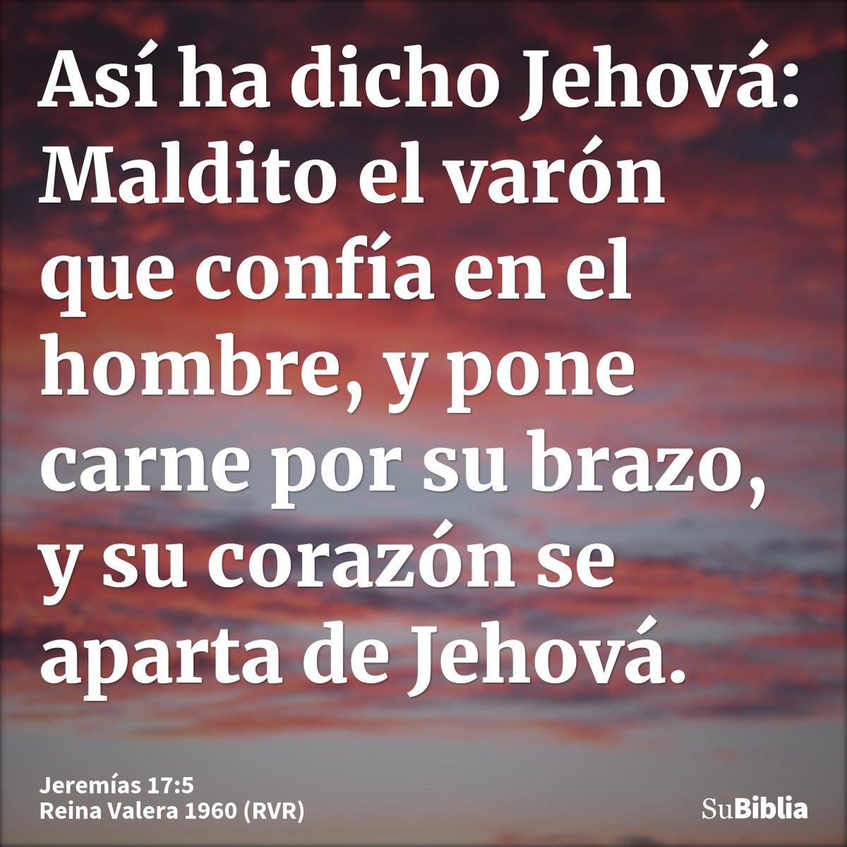 Así ha dicho Jehová: Maldito el varón que confía en el hombre, y pone carne por su brazo, y su corazón se aparta de Jehová.