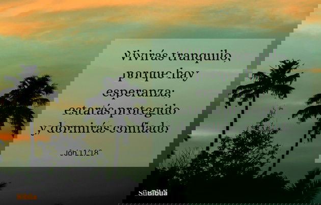 Vivirás tranquilo, porque hay esperanza; estarás protegido y dormirás confiado. (Job 11:18)