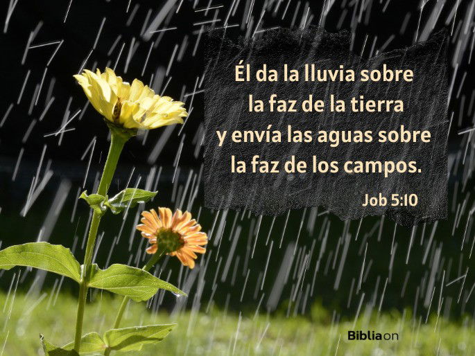 Él da la lluvia sobre la faz de la tierra y envía las aguas sobre la faz de los campos. (Job 5:10)
