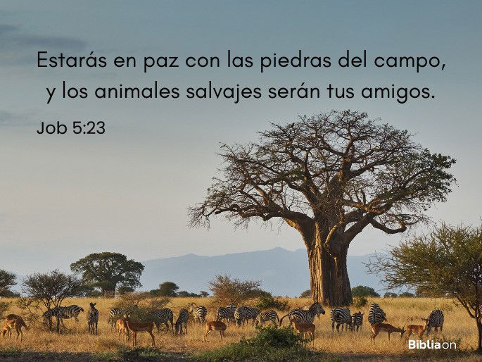 Estarás en paz con las piedras del campo, y los animales salvajes serán tus amigos. (Job 5:23)