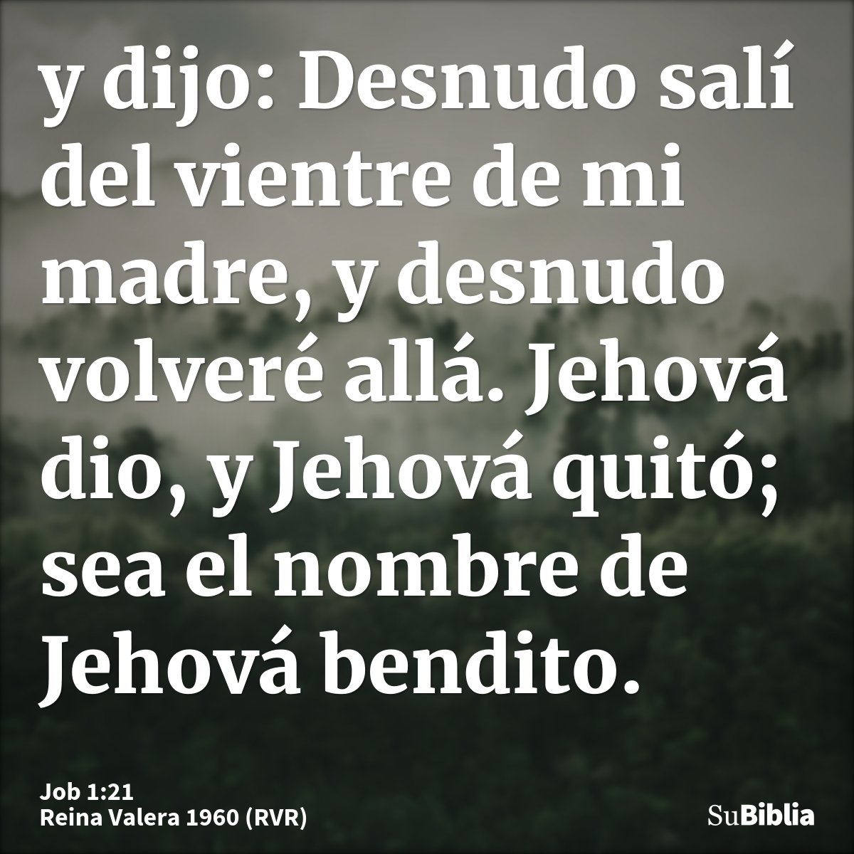 y dijo: Desnudo salí del vientre de mi madre, y desnudo volveré allá. Jehová dio, y Jehová quitó; sea el nombre de Jehová bendito.