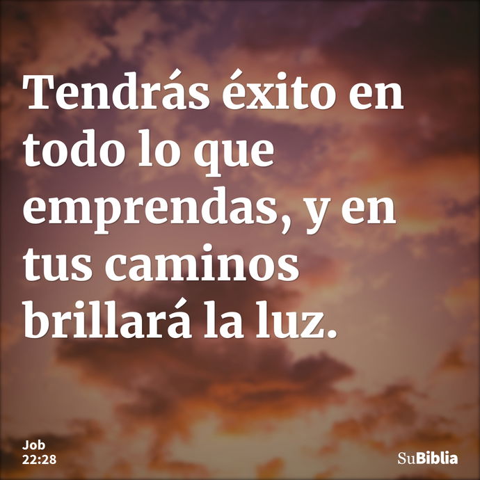 Tendrás éxito en todo lo que emprendas, y en tus caminos brillará la luz. --- Job 22:28