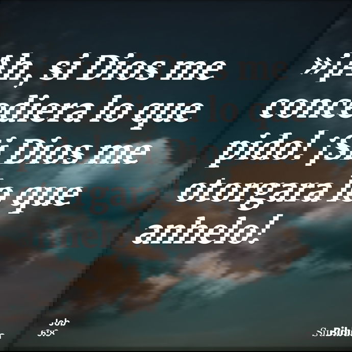 »¡Ah, si Dios me concediera lo que pido! ¡Si Dios me otorgara lo que anhelo! --- Job 6:8