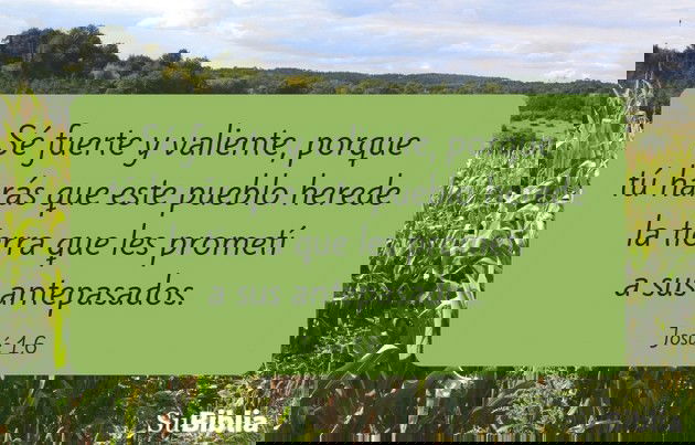 Sé fuerte y valiente, porque tú harás que este pueblo herede la tierra que les prometí a sus antepasados.  (Josué 1:6)