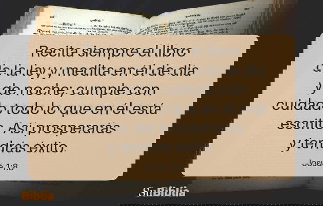 Recita siempre el libro de la ley y medita en él de día y de noche; cumple con cuidado todo lo que en él está escrito. Así prosperarás y tendrás éxito. (Josué 1:8)