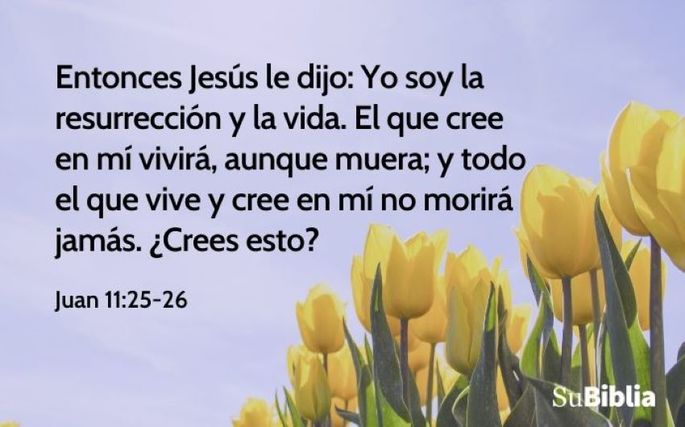 Entonces Jesús le dijo: Yo soy la resurrección y la vida. El que cree en mí vivirá, aunque muera; y todo el que vive y cree en mí no morirá jamás. ¿Crees esto? (Juan 11:25-26)