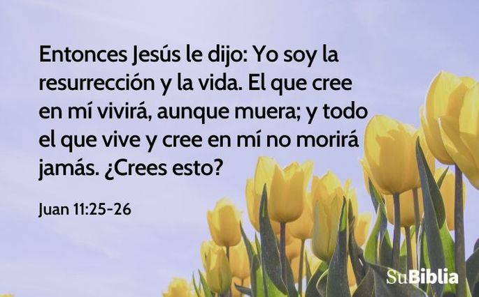 Entonces Jesús le dijo: Yo soy la resurrección y la vida. El que cree en mí vivirá, aunque muera; y todo el que vive y cree en mí no morirá jamás. ¿Crees esto? (Juan 11:25-26)