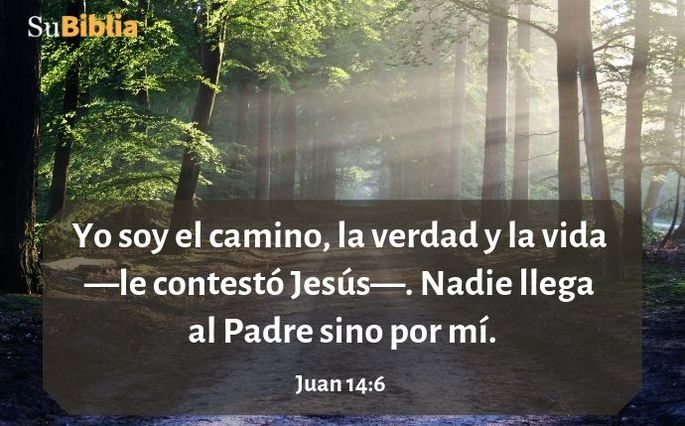 Yo soy el camino, la verdad y la vida —le contestó Jesús—. Nadie llega al Padre sino por mí. (Juan 14:6)