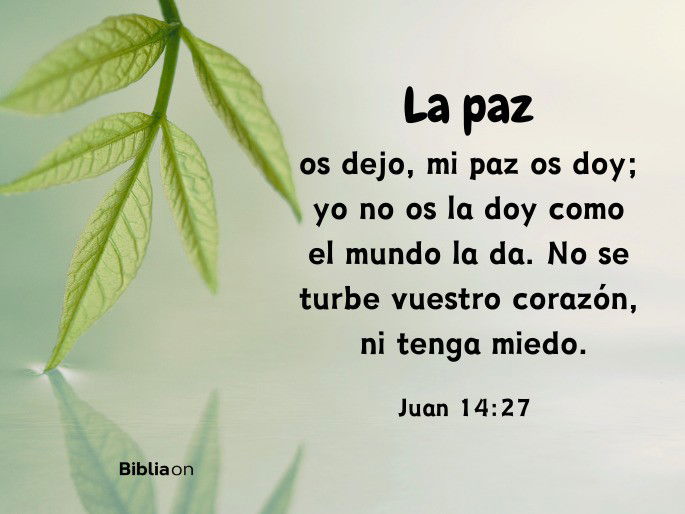 La paz os dejo, mi paz os doy; yo no os la doy como el mundo la da. No se turbe vuestro corazón, ni tenga miedo. (Juan 14:27)