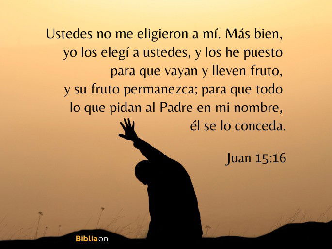 Ustedes no me eligieron a mí. Más bien, yo los elegí a ustedes, y los he puesto para que vayan y lleven fruto, y su fruto permanezca; para que todo lo que pidan al Padre en mi nombre, él se lo conceda. (Juan 15:16)