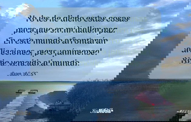 Yo les he dicho estas cosas para que en mí hallen paz. En este mundo afrontarán aflicciones, pero ¡anímense! Yo he vencido al mundo. (Juan 16:33)