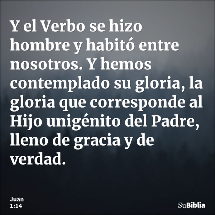 Y el Verbo se hizo hombre y habitó entre nosotros. Y hemos contemplado su gloria, la gloria que corresponde al Hijo unigénito del Padre, lleno de gracia y de ve... --- Juan 1:14