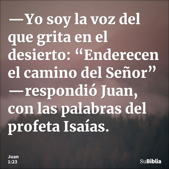 —Yo soy la voz del que grita en el desierto: “Enderecen el camino del Señor” —respondió Juan, con las palabras del profeta Isaías. --- Juan 1:23