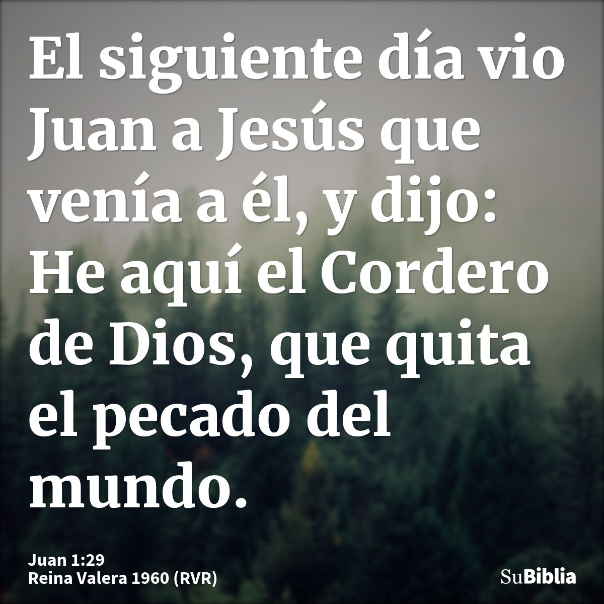 El siguiente día vio Juan a Jesús que venía a él, y dijo: He aquí el Cordero de Dios, que quita el pecado del mundo.