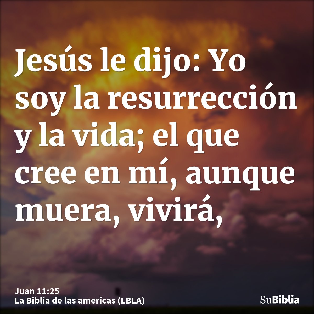 Jesús le dijo: Yo soy la resurrección y la vida; el que cree en mí, aunque muera, vivirá,